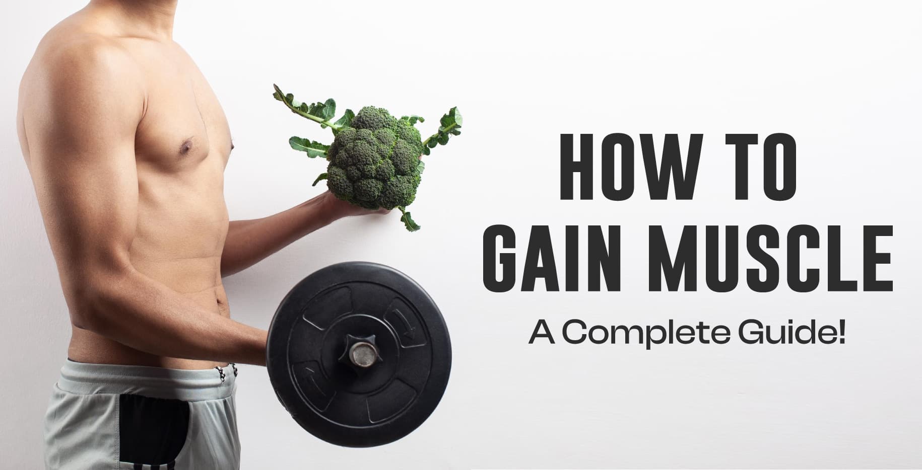 How to Gain Muscle