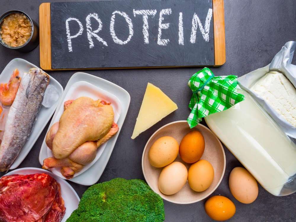 What Do Proteins Do: The Unsung Heroes of Life